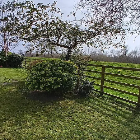 The White House Kelfield *