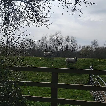 The White House Kelfield